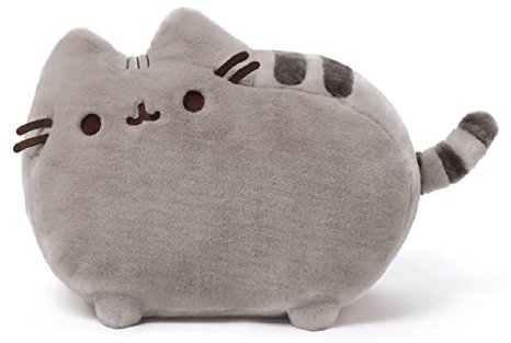 jumbo pusheen cat