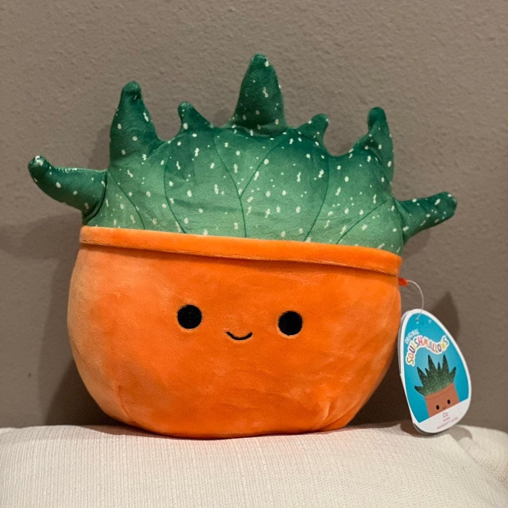 succulent squishmallow