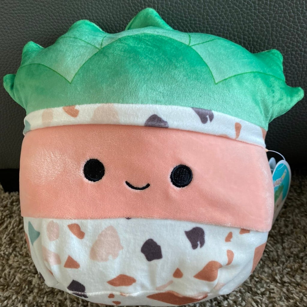 succulent squishmallow