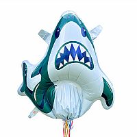 Inflatable Refillable Pinatas, Various Styles!